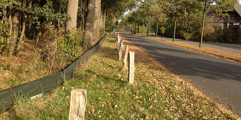 Mobile-guide-fence